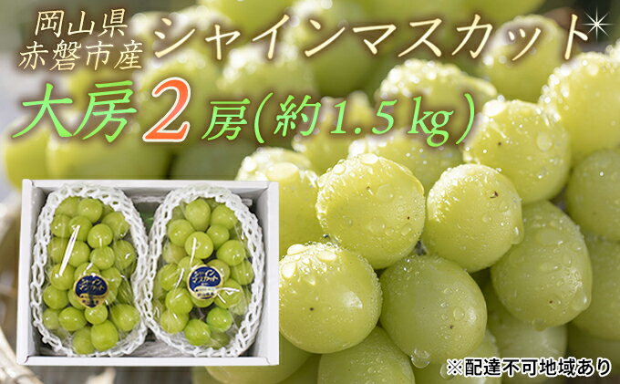【ふるさと納税】ぶどう 2026年 先行予約 シャイン マスカット 大房 2房 約1.5kg 秀品 ブドウ 葡萄 岡山 赤磐市産 国産 フルーツ 果物 ギフト 果物類 デザート 食後 産地直送 甘い 種なし 皮ごと 大粒 　お届け：2026年9月下旬～2026年10月中旬 サムネイル2