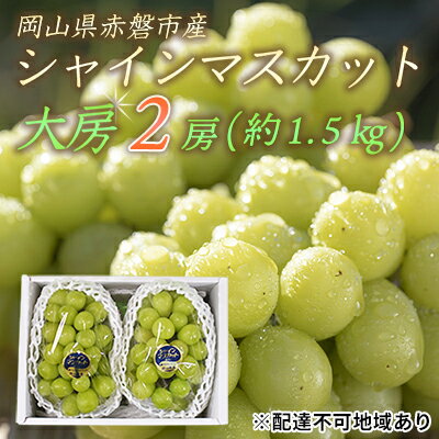 ぶどう 2026年 先行予約 シャイン マスカット 大房 2房 約1.5kg 秀品 ブドウ 葡萄 岡山 赤磐市産 国産 フルーツ 果物 ギフト 果物類 デザート 食後 産地直送 甘い 種なし 皮ごと 大粒 　お届け：2026年9月下旬～2026年10月中旬