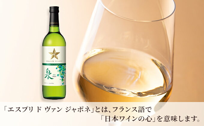 【ふるさと納税】ワイン グランポレール エスプリ・ド・ヴァン・ジャポネ 泉 -SEN- 3本（1本 720ml）白ワイン 中辛口 サッポロビール 岡山ワイナリー お酒 国産ワイン 爽やか ほのかな渋み 酸味 サムネイル3