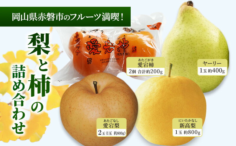 【ふるさと納税】梨 柿 2024年 岡山県赤磐市 フルーツ満喫！ 愛宕梨・新高梨・ヤーリー・愛宕柿 詰め合わせ なし かき 果物　お届け：2025年12月上旬～2025年12月下旬 サムネイル2