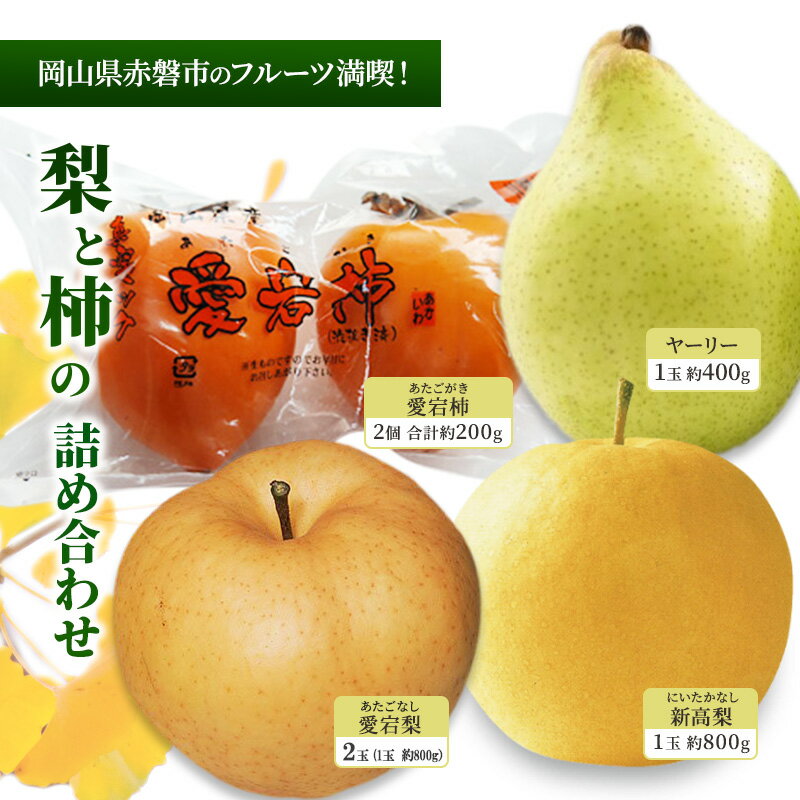 梨 柿 2024年 岡山県赤磐市 フルーツ満喫！ 愛宕梨・新高梨・ヤーリー・愛宕柿 詰め合わせ なし かき 果物　お届け：2025年12月上旬～2025年12月下旬