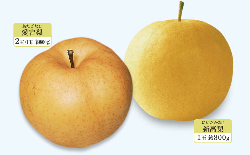 【ふるさと納税】梨 柿 2024年 岡山県赤磐市 フルーツ満喫！ 愛宕梨・新高梨・ヤーリー・愛宕柿 詰め合わせ なし かき 果物　お届け：2025年12月上旬～2025年12月下旬 サムネイル3