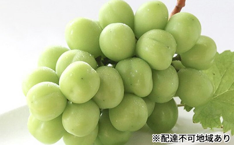 【ふるさと納税】早期受付 シャイン マスカット 2房（1房650g以上） 桃茂実苑 　お届け：2025年10月下旬～2026年1月下旬 サムネイル2