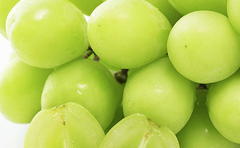 【ふるさと納税】早期受付 シャイン マスカット 2房（1房500g以上） 桃茂実苑 　お届け：2025年10月上旬～2026年1月下旬 サムネイル3