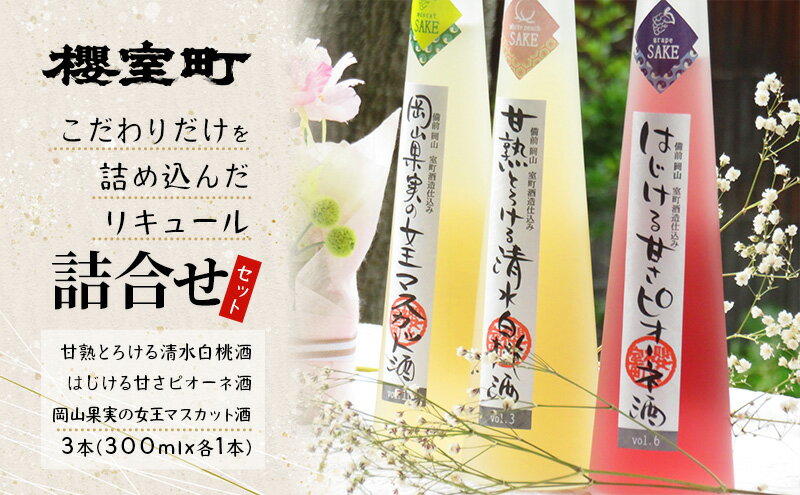 【ふるさと納税】櫻室町 こだわりだけを詰め込んだ リキュール 詰合せ 300mlx3本セット（L3-4I） お酒 アルコール 酒 サムネイル2