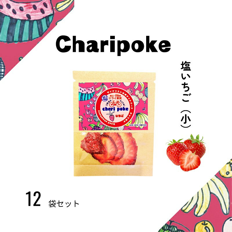 【ふるさと納税】ドライフルーツ Chari poke チャリポケ 塩 ドライ果実 いちご 小サイズ 岡山 サムネイル2