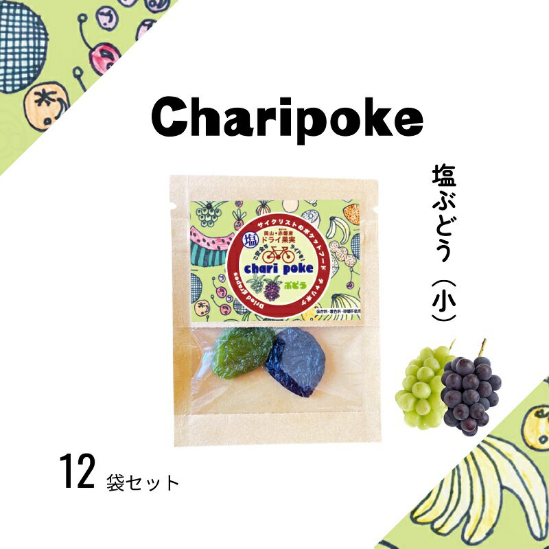 【ふるさと納税】ドライフルーツ Chari poke チャリポケ 塩ドライ果実 ぶどう 小サイズ 岡山 サムネイル2