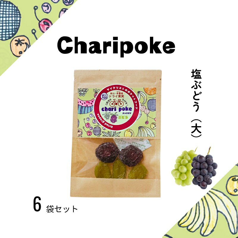 【ふるさと納税】ドライフルーツ Chari poke チャリポケ 塩 ドライ果実 ぶどう 大サイズ 岡山 サムネイル2