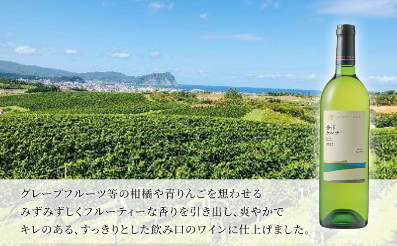 【ふるさと納税】ワイン サッポロ グランポレール 余市 ケルナー 白ワイン 750ml 3本 セット 岡山 ワイナリー ぶどう お酒 酒 アルコール　お届け：※お届けまで1ヶ月前後かかる場合がございます。 サムネイル3