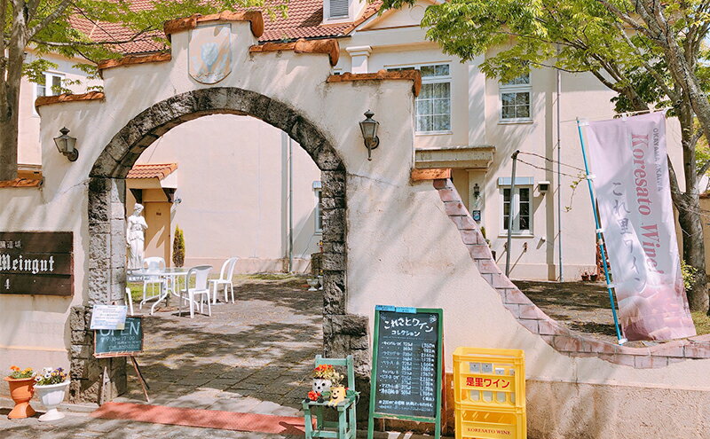 【ふるさと納税】ワイン 「しゅほ」 ピオーネ ・ ロゼ 375ml 1本 国産 ロゼワイン 岡山 赤磐市 サムネイル3