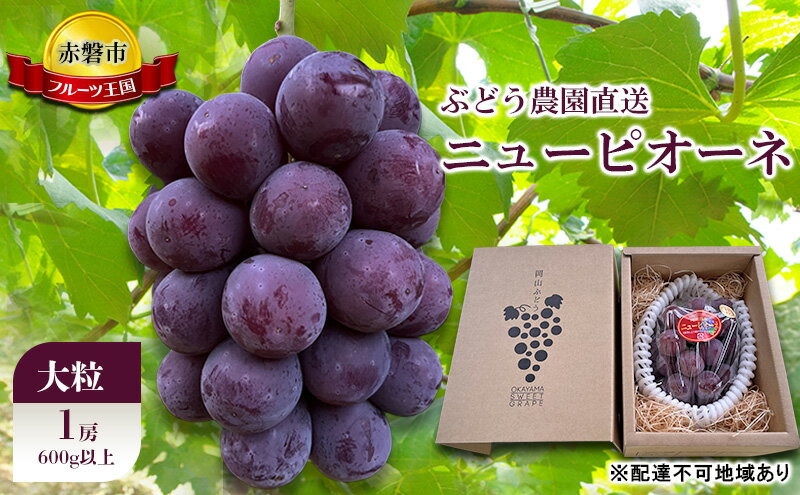 【ふるさと納税】ぶどう 2026年 先行予約 ぶどう農園直送 朝採れ ニューピオーネ 大粒 1房(600g以上) ブドウ 葡萄 岡山県 赤磐市産 フルーツ 果物 ギフト　お届け：2026年8月中旬～2026年9月上旬 サムネイル2