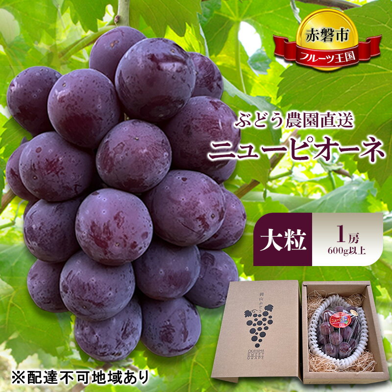 ぶどう 2026年 先行予約 ぶどう農園直送 朝採れ ニューピオーネ 大粒 1房(600g以上) ブドウ 葡萄 岡山県 赤磐市産 フルーツ 果物 ギフト　お届け：2026年8月中旬～2026年9月上旬