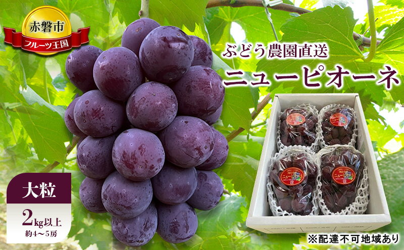 【ふるさと納税】ぶどう 2026年 先行予約 ぶどう農園直送 朝採れ ニューピオーネ 大粒 2kg以上(約4～5房) ブドウ 葡萄 岡山県 赤磐市産 フルーツ 果物 ギフト　お届け：2026年8月中旬～2026年9月上旬 サムネイル2