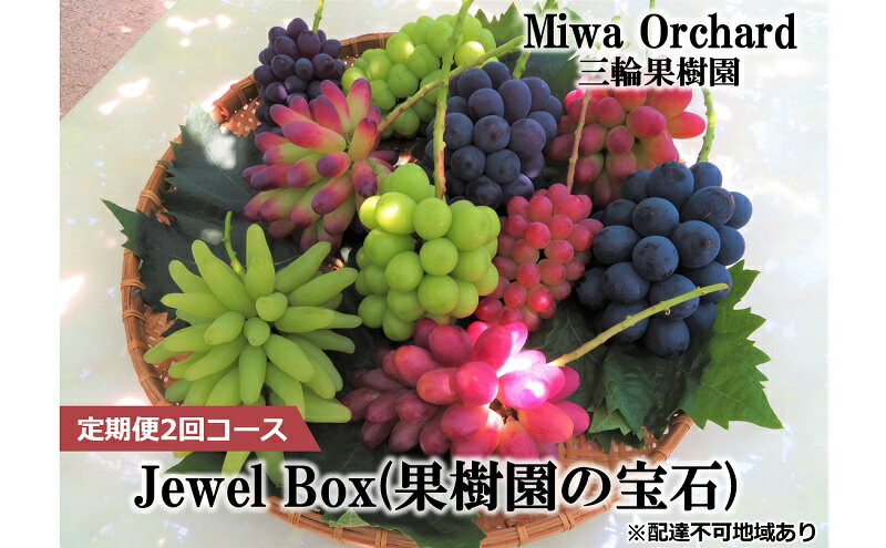 【ふるさと納税】ぶどう 2026年 先行予約 ジュエルボックス 皮ごと食べることのできる 葡萄 4～5品種 詰合せ 約2kg 定期便 2回 コース ブドウ 葡萄 岡山県 赤磐市産 国産 フルーツ 果物 ギフト 三輪果樹園 岡山のぶどう 食べ比べ　お届け：2026年8月中旬～2026年10月上旬 サムネイル2