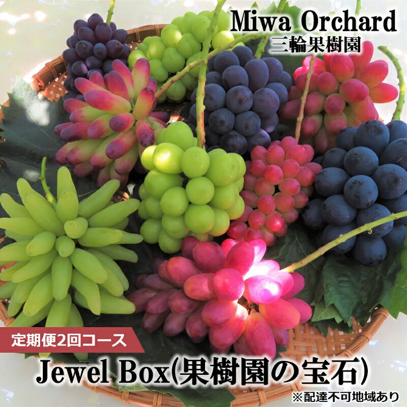 ぶどう 2026年 先行予約 ジュエルボックス 皮ごと食べることのできる 葡萄 4～5品種 詰合せ 約2kg 定期便 2回 コース ブドウ 葡萄 岡山県 赤磐市産 国産 フルーツ 果物 ギフト 三輪果樹園 岡山のぶどう 食べ比べ　お届け：2026年8月中旬～2026年10月上旬