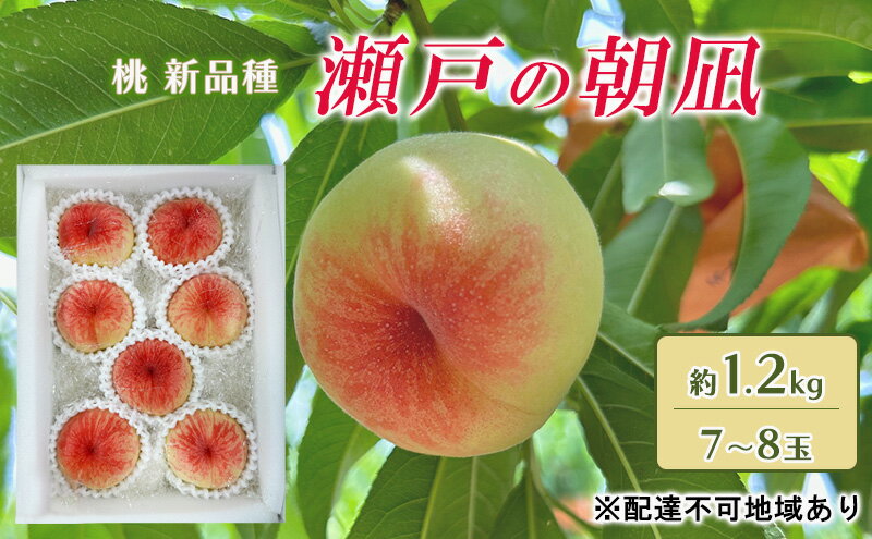 【ふるさと納税】桃 2026年 先行予約 瀬戸の朝凪 KU-PP1 約1.2kg 7～8玉 新品種 モモ もも フルーツ 果物 岡山 赤磐市産　お届け：2026年6月中旬～2026年7月上旬 サムネイル2