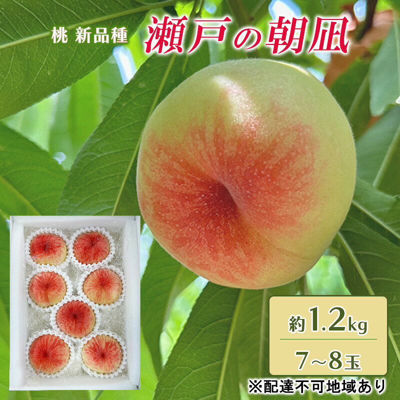 桃 2026年 先行予約 瀬戸の朝凪 KU-PP1 約1.2kg 7～8玉 新品種 モモ もも フルーツ 果物 岡山 赤磐市産　お届け：2026年6月中旬～2026年7月上旬