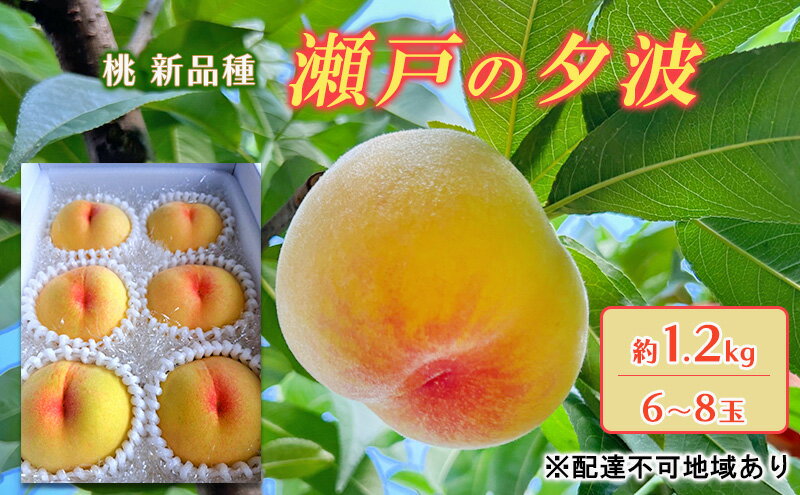 【ふるさと納税】桃 2026年 先行予約 瀬戸の夕波 KU-PP2 約1.2kg 6～8玉 新品種 モモ もも フルーツ 果物 岡山 赤磐市産　お届け：2026年6月中旬～2026年7月上旬 サムネイル2
