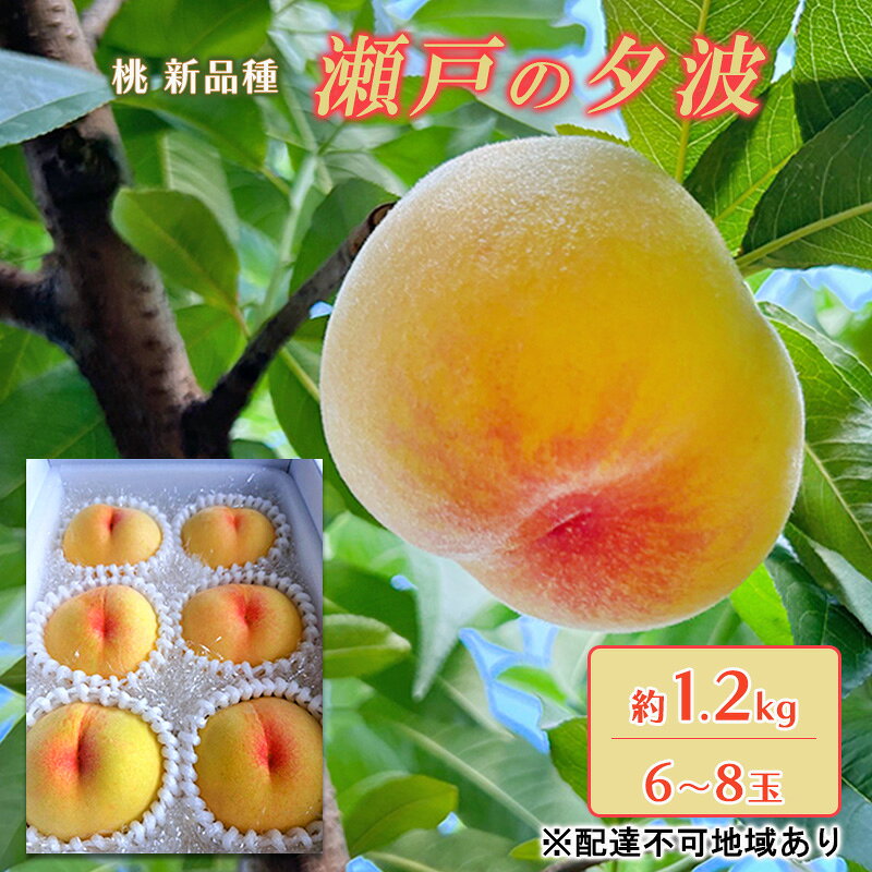 桃 2026年 先行予約 瀬戸の夕波 KU-PP2 約1.2kg 6～8玉 新品種 モモ もも フルーツ 果物 岡山 赤磐市産　お届け：2026年6月中旬～2026年7月上旬