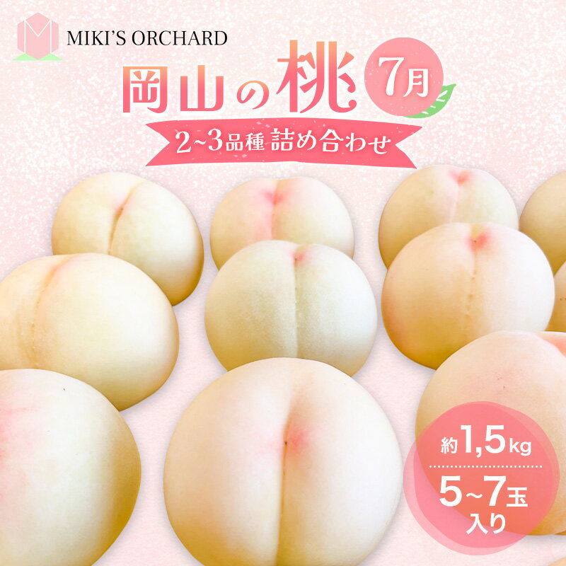 桃 【訳あり 2級品】 2026年 先行予約 岡山の桃 7月の桃 2～3品種 詰め合わせ セット 5～7玉入り 約1.5kg MIKI’S ORCHARD もも モモ 果物 岡山 家庭用　お届け：2026年7月上旬～2026年7月下旬