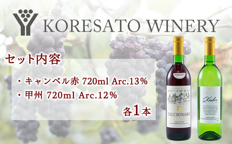 【ふるさと納税】是里 ワイン 果実酒 キャンベル赤 甲州 720ml 各1本 岡山 赤磐市 お酒 サムネイル3