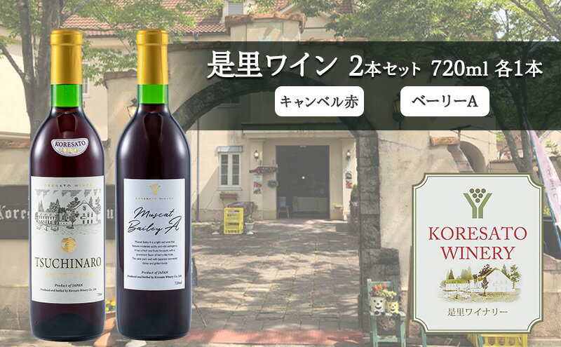 【ふるさと納税】是里 ワイン 果実酒 キャンベル赤 ベーリーA 720ml 各1本 岡山 赤磐市 お酒 サムネイル2