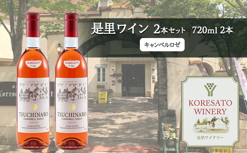 【ふるさと納税】是里 ワイン 果実酒 キャンベルロゼ 720ml 2本 岡山 赤磐市 お酒 サムネイル2