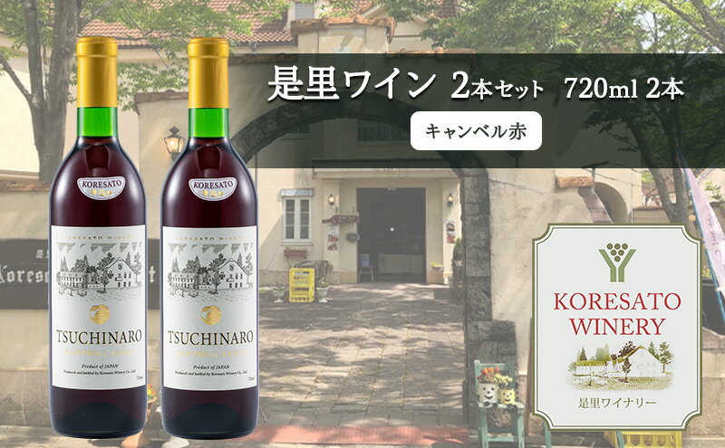 【ふるさと納税】是里 ワイン 果実酒 キャンベル赤 720ml 2本 岡山 赤磐市 お酒 サムネイル2