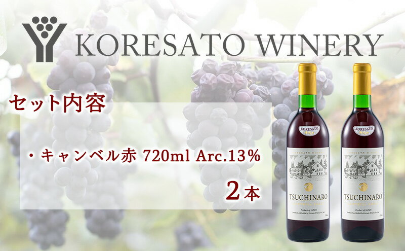 【ふるさと納税】是里 ワイン 果実酒 キャンベル赤 720ml 2本 岡山 赤磐市 お酒 サムネイル3