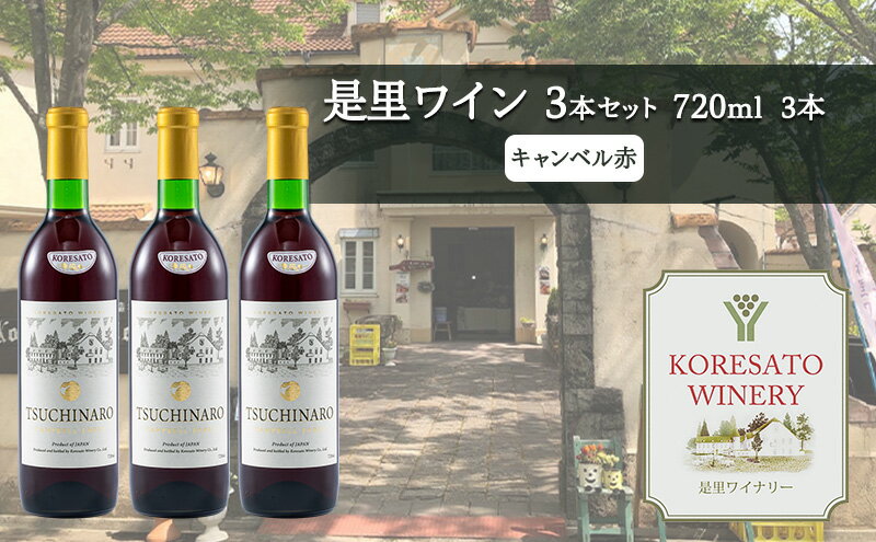 【ふるさと納税】是里 ワイン 果実酒 キャンベル赤 720ml 3本 岡山 赤磐市 お酒 サムネイル2