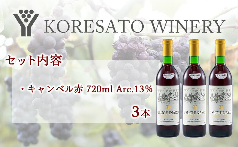 【ふるさと納税】是里 ワイン 果実酒 キャンベル赤 720ml 3本 岡山 赤磐市 お酒 サムネイル3