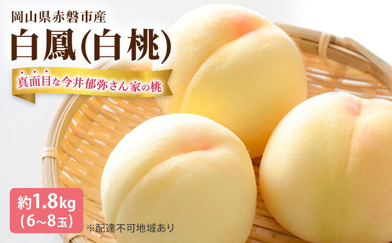 【ふるさと納税】桃 2026年 先行予約 真面目な今井郁弥さん家の桃 白桃 白鳳 約1.8kg 6～8玉 フルーツ 果物 岡山 赤磐市産　お届け：2026年7月上旬～2026年7月下旬 サムネイル2