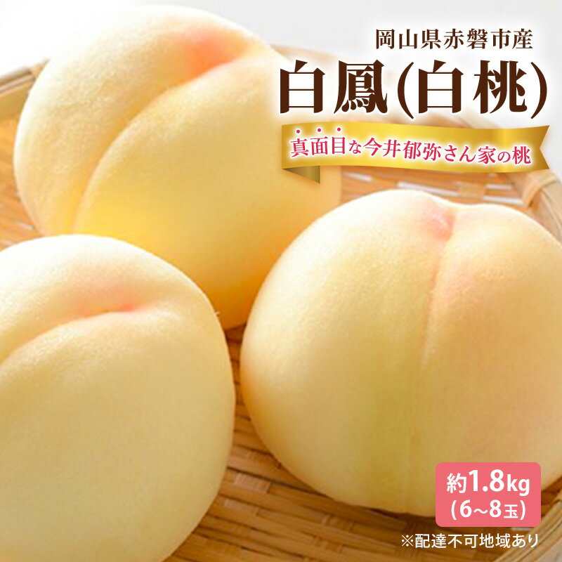 桃 2026年 先行予約 真面目な今井郁弥さん家の桃 白桃 白鳳 約1.8kg 6～8玉 フルーツ 果物 岡山 赤磐市産　お届け：2026年7月上旬～2026年7月下旬