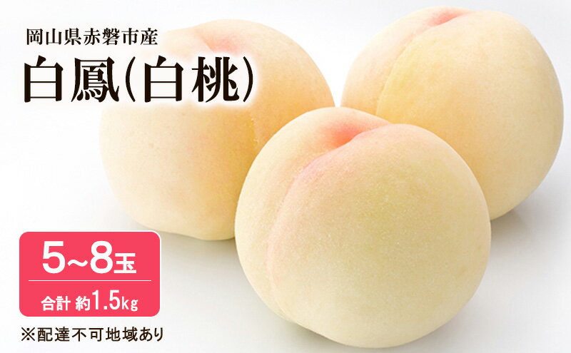 【ふるさと納税】桃 2026年 先行予約 白桃 白鳳 約1.5kg 5～8玉 フルーツ 果物 岡山 赤磐市産　お届け：2026年7月上旬～2026年7月下旬 サムネイル2