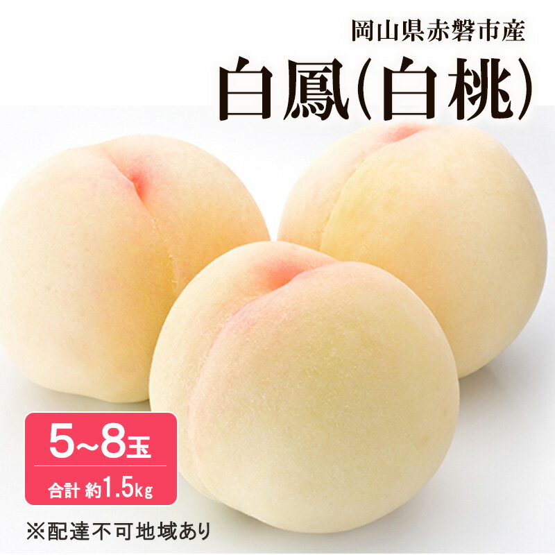 桃 2026年 先行予約 白桃 白鳳 約1.5kg 5～8玉 フルーツ 果物 岡山 赤磐市産　お届け：2026年7月上旬～2026年7月下旬