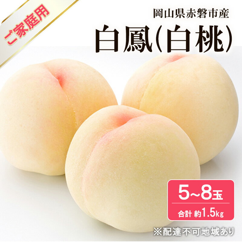 桃 2026年 先行予約 白桃 白鳳 約1.5kg 5～8玉 ご家庭用 フルーツ 果物 岡山 赤磐市産　お届け：2026年7月上旬～2026年7月下旬