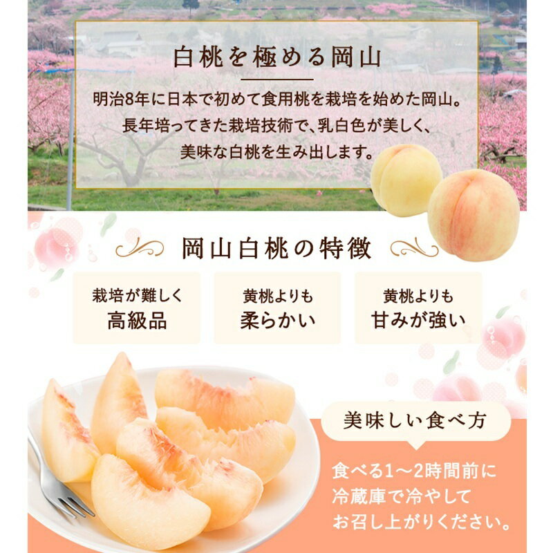 【ふるさと納税】桃 2026年 先行予約 岡山白桃 6～8玉 約1.5kg 化粧箱入り 岡山県 赤磐市産 果物 フルーツ 白桃 もも モモ　お届け：2026年7月上旬～2026年8月下旬 サムネイル3
