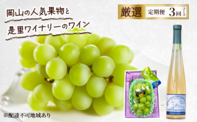 【ふるさと納税】定期便 2026年 先行予約 岡山の人気果物と是里ワイナリーのワイン 厳選 3回コース ぶどう シャインマスカット 晴王 清水白桃 ワイン 赤磐市　お届け：2026年9月1日～2026年11月30日 サムネイル2