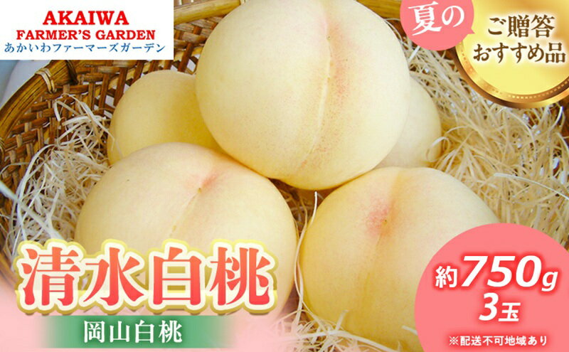 【ふるさと納税】桃 2026年 先行予約 清水 白桃 約750g 3玉 もも 岡山県 赤磐市産 フルーツ 果物 あかいわファーマーズガーデン 果物類　お届け：2026年7月中旬～2026年8月上旬 サムネイル2