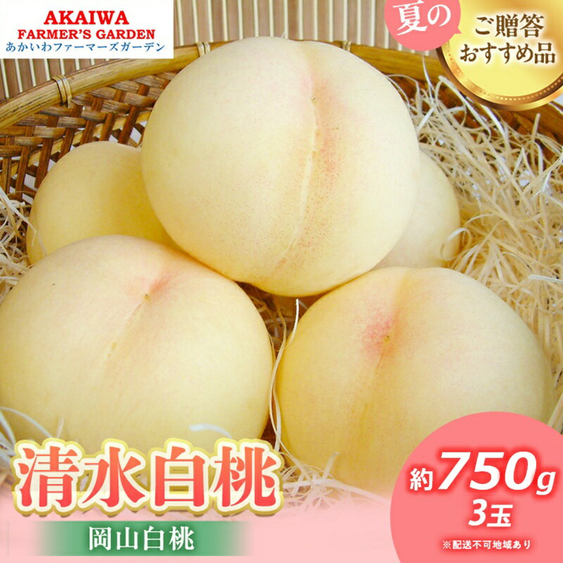 桃 2026年 先行予約 清水 白桃 約750g 3玉 もも 岡山県 赤磐市産 フルーツ 果物 あかいわファーマーズガーデン 果物類　お届け：2026年7月中旬～2026年8月上旬