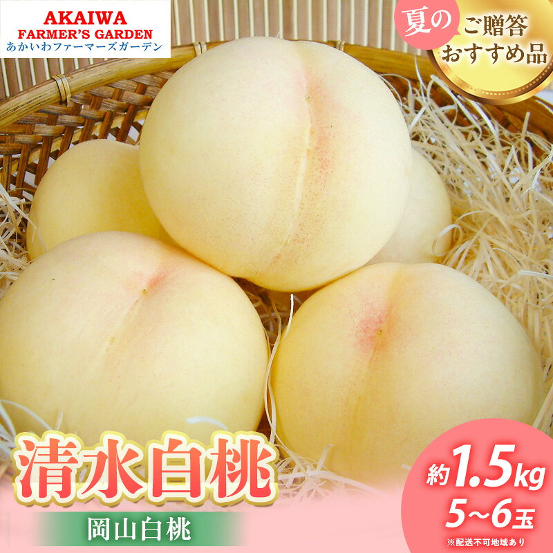 桃 2026年 先行予約 清水 白桃 約1.5kg 5～6玉 もも 岡山県 赤磐市産 フルーツ 果物 あかいわファーマーズガーデン　お届け：2026年7月中旬～2026年8月上旬