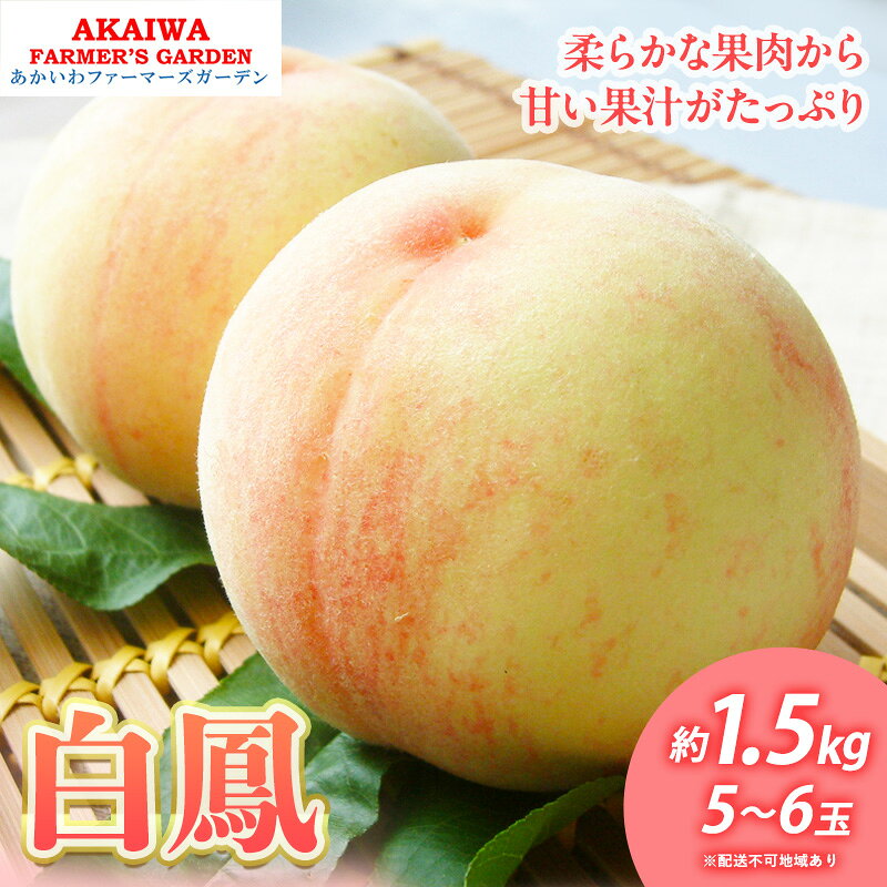 桃 2026年 先行予約 白桃 白鳳 約1.5kg 5～6玉 もも 岡山県 赤磐市産 フルーツ 果物 あかいわファーマーズガーデン　お届け：2026年7月上旬～2026年7月中旬