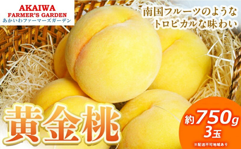 【ふるさと納税】桃 2026年 先行予約 黄金桃 約750g 3玉 もも 岡山県 赤磐市産 フルーツ 果物 あかいわファーマーズガーデン 果物類　お届け：2026年8月下旬～2026年9月上旬 サムネイル2
