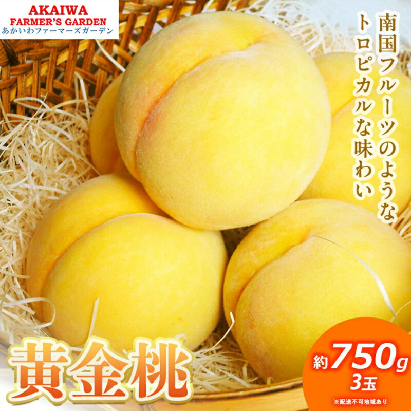 桃 2026年 先行予約 黄金桃 約750g 3玉 もも 岡山県 赤磐市産 フルーツ 果物 あかいわファーマーズガーデン 果物類　お届け：2026年8月下旬～2026年9月上旬