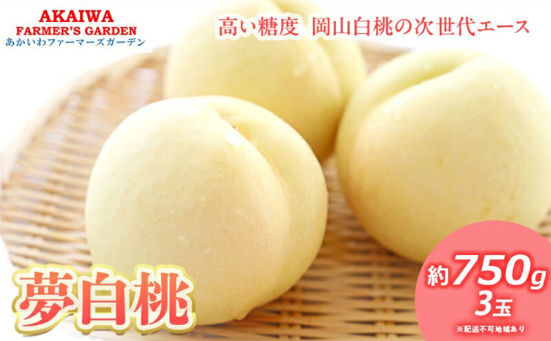 【ふるさと納税】桃 2026年 先行予約 おかやま 夢 白桃 約750g 3玉 もも 岡山県 赤磐市産 フルーツ 果物 あかいわファーマーズガーデン デザート 旬の果物 旬のフルーツ　お届け：2026年7月下旬～2026年8月中旬 サムネイル2