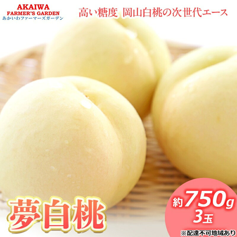 桃 2026年 先行予約 おかやま 夢 白桃 約750g 3玉 もも 岡山県 赤磐市産 フルーツ 果物 あかいわファーマーズガーデン デザート 旬の果物 旬のフルーツ　お届け：2026年7月下旬～2026年8月中旬