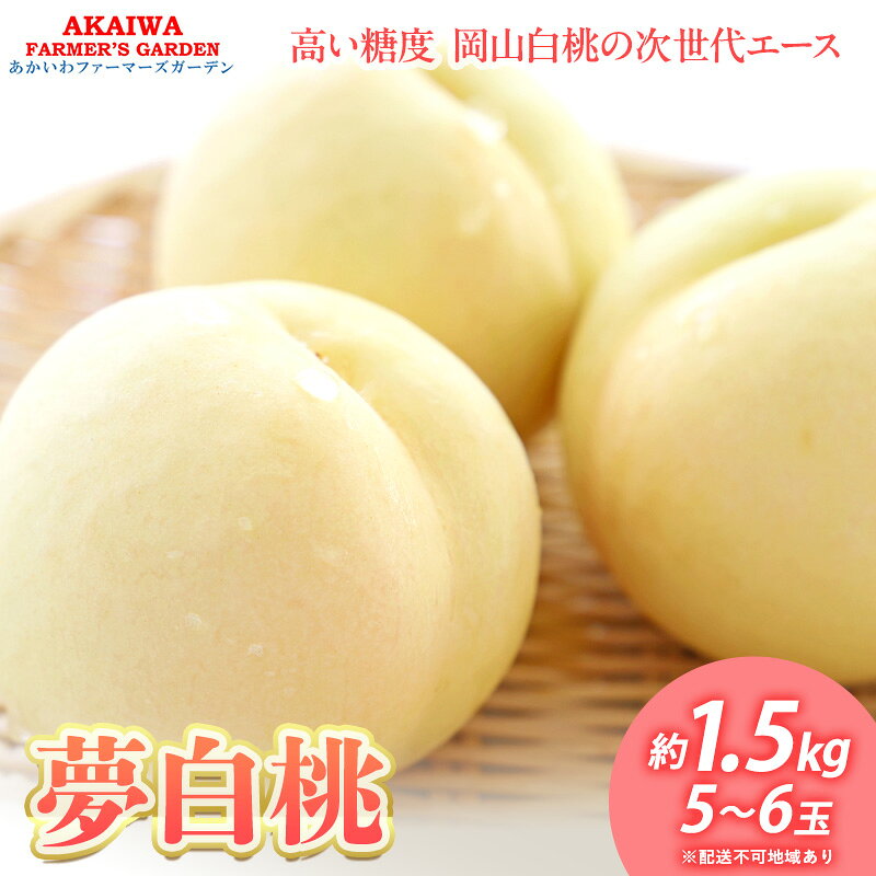 桃 2026年 先行予約 おかやま 夢 白桃 約1.5kg 5～6玉 もも 岡山県 赤磐市産 フルーツ 果物 あかいわファーマーズガーデン　お届け：2026年7月下旬～2026年8月中旬