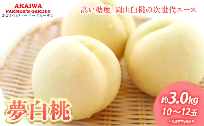 【ふるさと納税】桃 2026年 先行予約 おかやま 夢 白桃 約3.0kg 10～12玉 もも 岡山県 赤磐市産 フルーツ 果物 あかいわファーマーズガーデン デザート 旬の果物 旬のフルーツ　お届け：2026年7月下旬～2026年8月中旬 サムネイル2