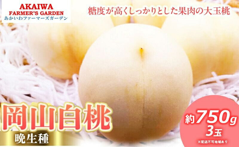 【ふるさと納税】桃 2026年 先行予約 岡山の 白桃 (晩生種) 約750g 3玉 もも 岡山県 赤磐市産 フルーツ 果物 あかいわファーマーズガーデン デザート 旬の果物 旬のフルーツ　お届け：2026年8月下旬～2026年9月中旬 サムネイル2