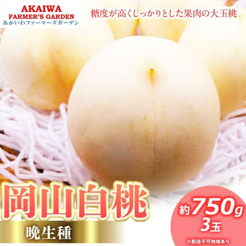 桃 2026年 先行予約 岡山の 白桃 (晩生種) 約750g 3玉 もも 岡山県 赤磐市産 フルーツ 果物 あかいわファーマーズガーデン デザート 旬の果物 旬のフルーツ　お届け：2026年8月下旬～2026年9月中旬
